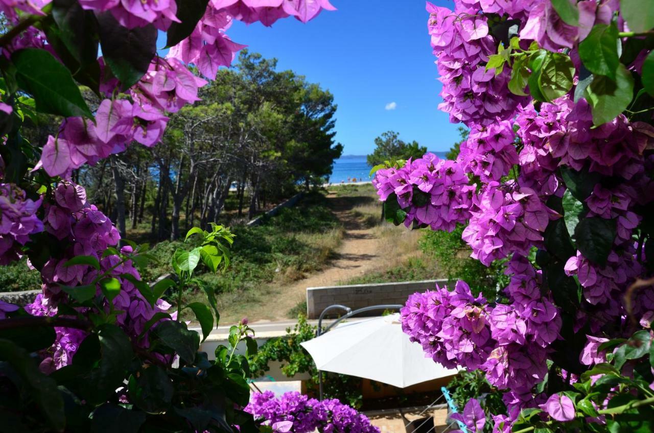 Apartements Delfin วีร์ ภายนอก รูปภาพ